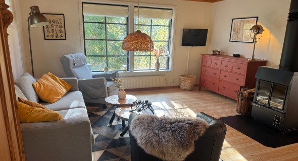 Living room with wood-burning stove and seating area