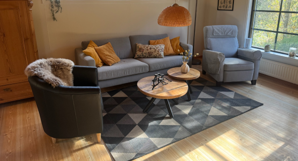 Living room with wood-burning stove and seating area