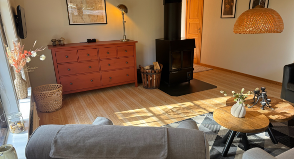 Living room with wood-burning stove and seating area