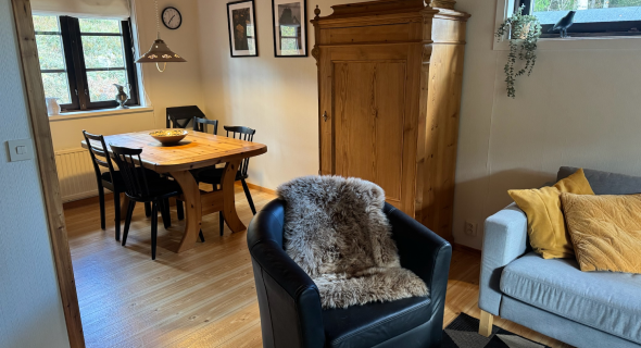 Living room with wood-burning stove and seating area
